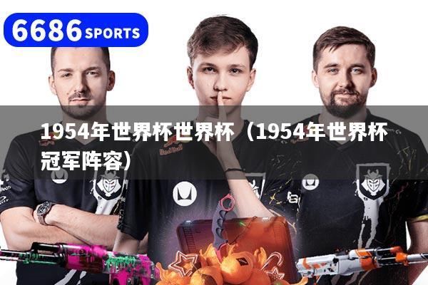 详细阅读:1954年世界杯世界杯(1954年世界杯冠军阵容) 1954年世界杯世界杯(1954年世界杯冠军阵容)